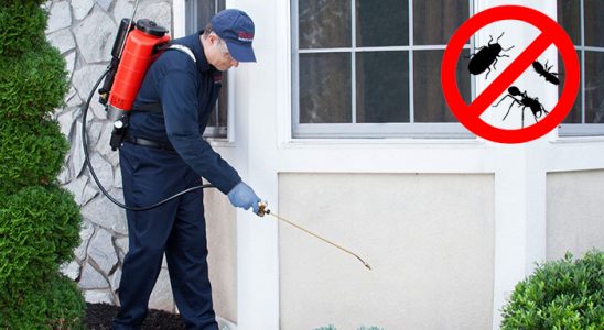 Bozkurt Böcek ve Haşere İlaçlama böcek ilaçlama ve haşere kontrolü — ilaclama-tr.com